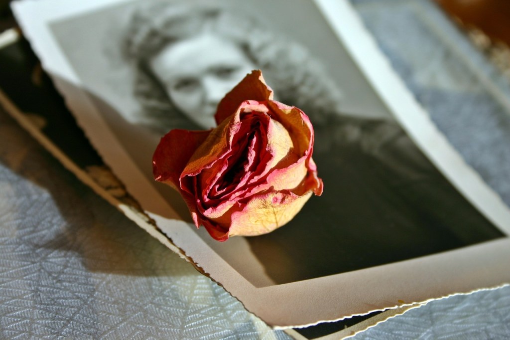 A rose is placed on an out-of-focus black-and-white photograph.